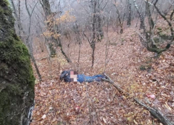 Пилот погиб в результате крушения вертолета под Новороссийском