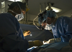 Новороссийские врачи провели сложнейшую операцию и спасли ещё одну жизнь 