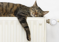 Стало известно, когда в Новороссийске начнется отопительный сезон