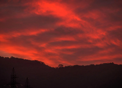 Погода в Новороссийске: пасмурно и с высокой вероятностью дождя