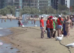 «А потом они скажут, что «заработали» рак в Анапе»: ученые о туристах, купающихся на «запрещенных» пляжах края