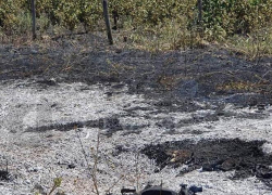 - Глебушку пороть! – новороссийцы считают, что пацаны не просто так подожгли  виноградники