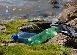 Три вида упаковки исчезнут с полок магазинов Новороссийска: новый запрет в России 