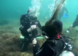 «На дне»: парень сделал предложение руки и сердца в глубинах Черного моря