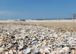Пляжи Азовского моря уже готовятся к приему туристов