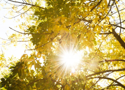 Погода в Новороссийске: возвращается экстремальная жара