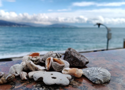 Гороскоп от Блокнота: Близнецам не стоит распыляться на мелочи, а Девам – не торопиться с выводами 