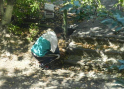 Приезжий построил бизнес на зависимых новороссийцах