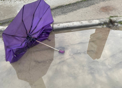 Дыхание весны: зонт в Новороссийске сегодня не нужен