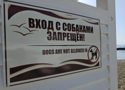 Не рискуйте: чего сегодня стоит опасаться каждому знаку Зодиака