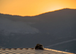 Погода в Новороссийске: солнышко, жара и ветер