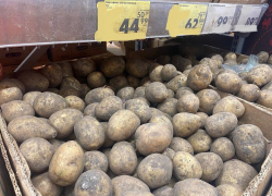 Овощи в Новороссийске станут дешевле? Как упадет в цене кило картошки