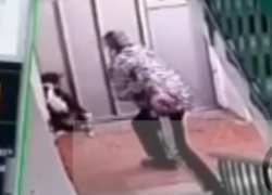 Вопиющая жестокость: новороссиец напал с ножом на собаку 