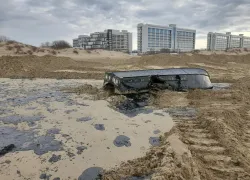 В 2026 году пляжи Чёрного моря заполнятся: как обстоят дела с мазутом на курортах 