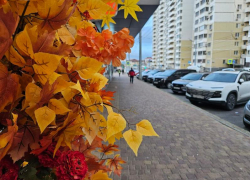 Рыбам в субботу хорошо отдохнуть душой и телом, а Львам – прогуляться по городу