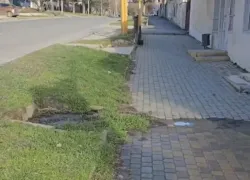 Канализационные реки потекли возле администрации Новороссийска