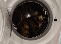 Атака беспилотников в Новороссийске: сигнал тревоги отменен, итоги жуткой ночи