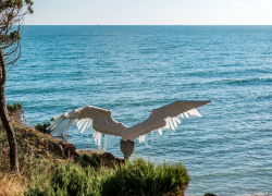 Погода в Новороссийске: солнечный понедельник с летним характером 