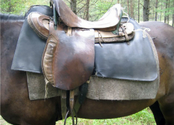 Новость об украденных в Новороссийске седлах оказалась "уткой"