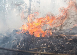 Под Новороссийском произошел пожар площадью полтора гектара 