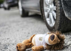 Водитель сбил восьмилетнего ребенка и скрылся с места аварии в Новороссийске