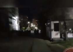 В причинах массовой драки строителей разбирается полиция Новороссийска 