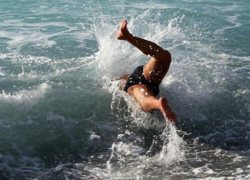 Они так рвались на море, что избили перевозчика, но все равно не долетели