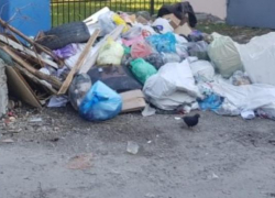 Горы мусора могут засыпать Новороссийск уже в январские праздники