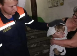 В Новороссийске прошла операция по спасению кота из подвала