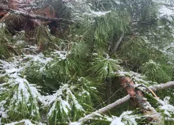Уже солнечно, но еще морозно: как одеться по погоде во вторник