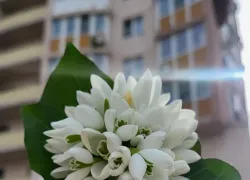 Скучно не будет: куда сходить на 8 марта в Новороссийске