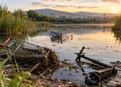 В прудах Новороссийска нашли тележки и самокаты