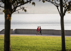 Погода в Новороссийске: ещё один весенний день в ноябре 