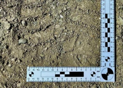 Новороссийцу грозит тюрьма за найденный в лесу питбайк