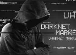 Личные данные новороссийцев могут продать в Даркнете 