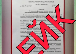 На Кубани запустили циничный фейк ко Дню матери 