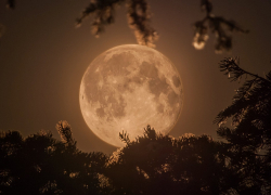 Фазы луны: влияют ли они на состояние новороссийцев