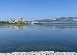 Ученый обнаружил в Суджукской лагуне исчезнувший вид водорослей 