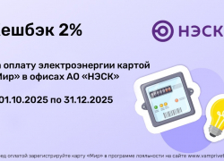 Оплата электроэнергии в АО «НЭСК» по карте «Мир» с выгодой