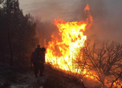 Больше 3 часов все структуры Новороссийска тушили пожар на Колдуне