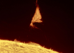 Гороскоп от “Блокнота” на 3 сентября: Девы, Скорпионы и Стрельцы могут столкнуться с некоторыми трудностями