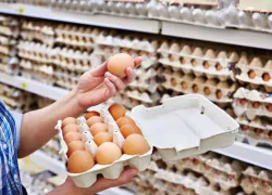 В Краснодарском крае снизились цены на яйца: как дела в Новороссийске