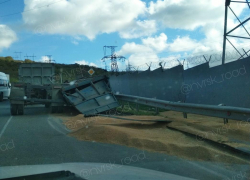 Незапланированный посев зерновых устроил "хомяк" под Новороссийском