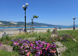 Погода в Новороссийске: жара потихоньку спадает 