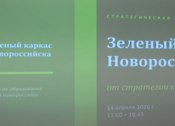 «Зеленый каркас»: разработка плана по озеленению Новороссийска на 64 млн рублей началась