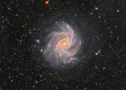 Гороскоп от “Блокнота” на 27 июля: тяжелый день для Львов и Скорпионов