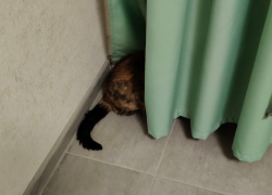 Как избежать проблем в пятницу: чего звезды не советуют сегодня делать знакам зодиака