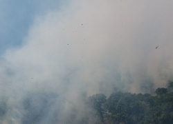 Стала известна возможная причина пожара на Колдуне в Новороссийске