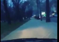 Шокирующее видео беспредела на тротуаре в центре Новороссийска