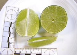 При проверке «лимон» оказался «лаймом»: таможенники Новороссийска пресекли незаконный ввоз цитрусовых